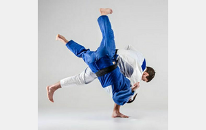 Week end Stage judo Compétition Monestier de Clermont