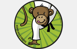 Stage Judo de toussaint octobre 2025